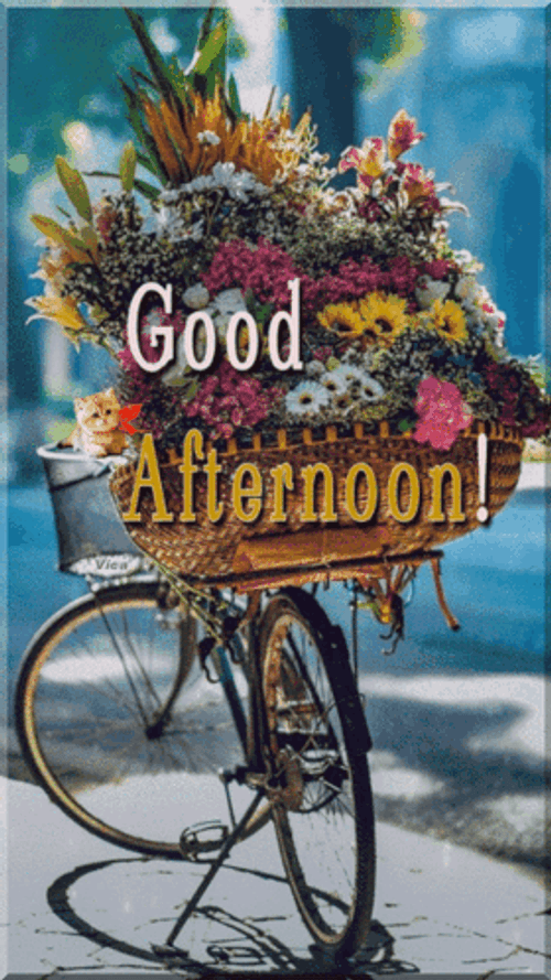 Good Afternoon Happy Monday Pretty Flower Bouquet GIF