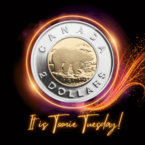 Good Afternoon Happy Tuesday Canada Dollars GIF