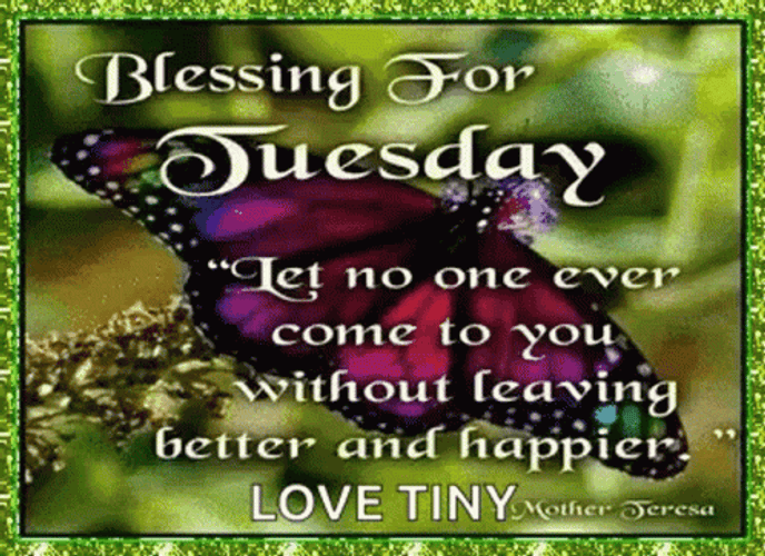 Good Afternoon Happy Tuesday Shimmering Green Art GIF