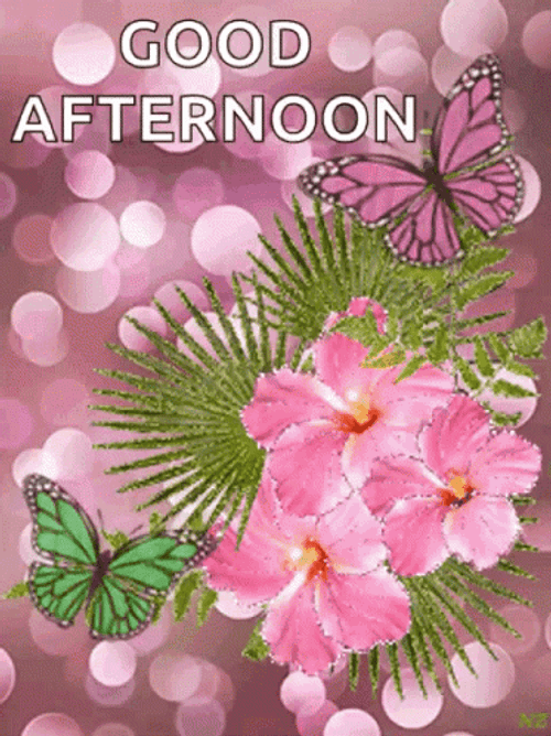 Good Afternoon Happy Tuesday Shimmering Pink Bloom GIF