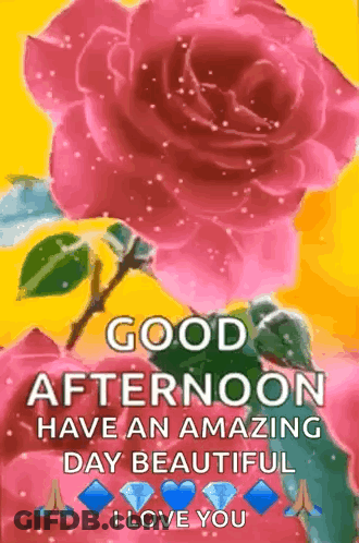 Good Afternoon Have An Amazing Day Beautiful I Love You GIF