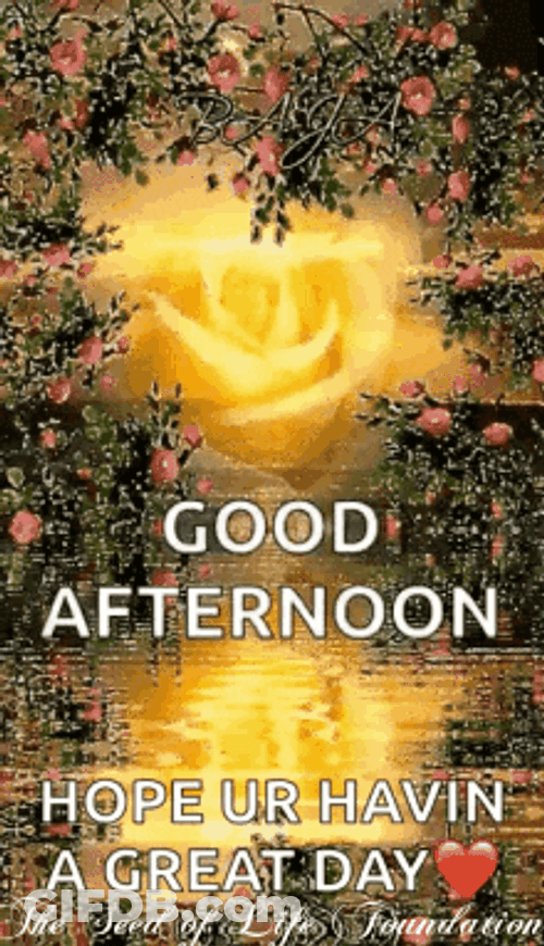 Good Afternoon Hope Havin Great Day GIF