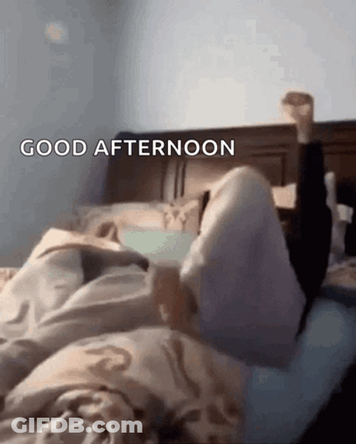 Good Afternoon Just Waking Up GIF