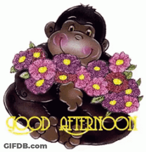 Good Afternoon Monkey With Flowers GIF