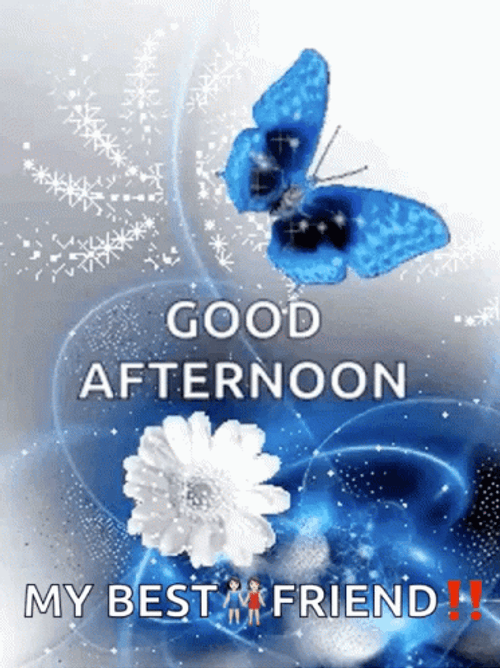 Good Afternoon My Best Friend GIF