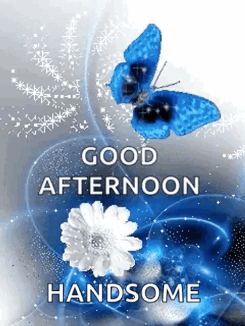 Good Afternoon My Love Blue Butterfly White Flower GIF