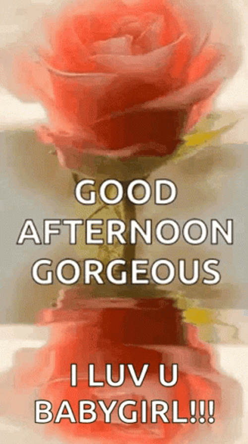 Good Afternoon My Love Flower With Water Reflection GIF