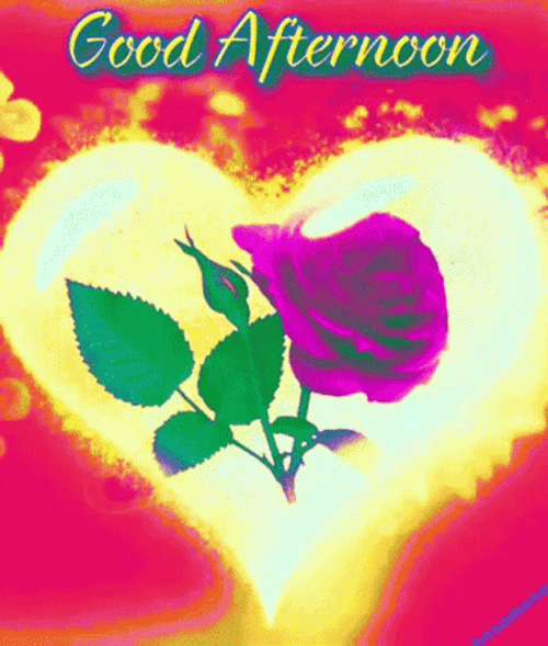 Good Afternoon My Love Heart With Rose GIF