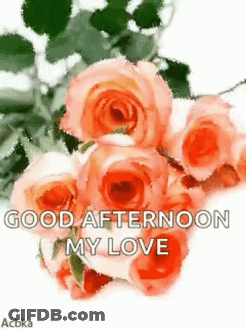 Good Afternoon My Love Shimmering Peach Flowers GIF