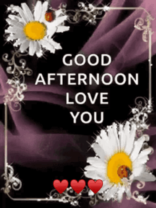 Good Afternoon My Love Sparkling Daisies GIF