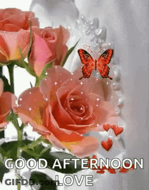 Good Afternoon My Love Sparkling Flowers With Butterfly GIF