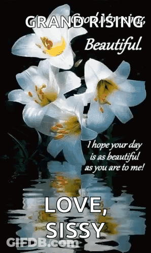Good Afternoon Niece Monday Blessings Flowers Watering Can GIF