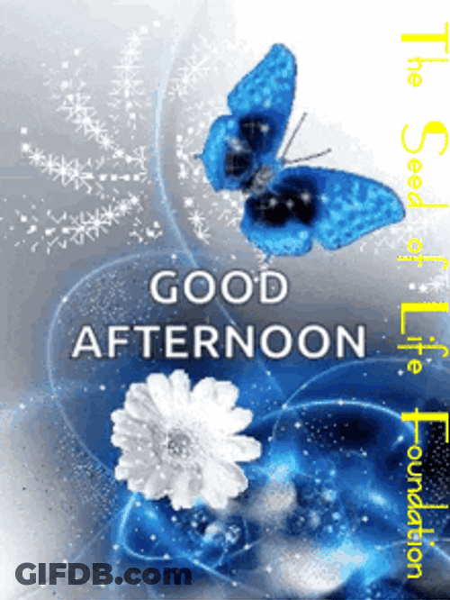 Good Afternoon Seed Of Life Foundation GIF