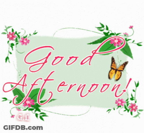 Good Afternoon Sign With Flowers And Butterfly GIF