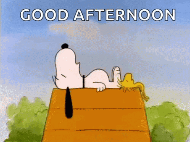 Good Afternoon Sleeping Snoopy GIF
