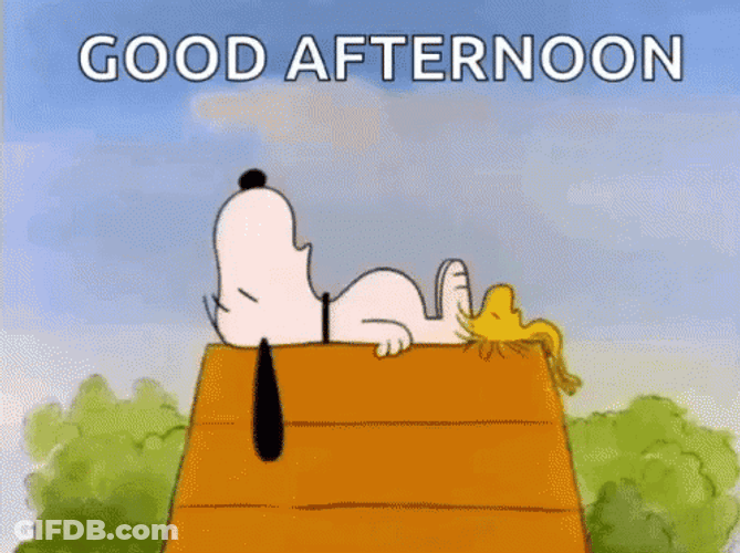 Good Afternoon Snoring Snoopy GIF
