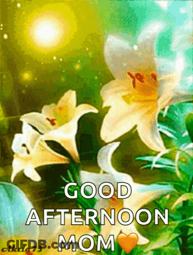 Good Afternoon Son Thursday Manna From Heaven Card GIF