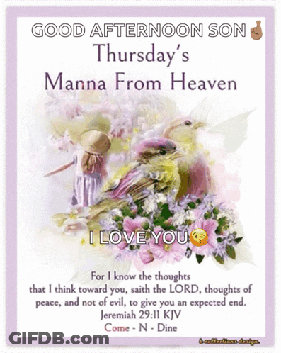 Good Afternoon Son Thursday Manna From Heaven Card GIF