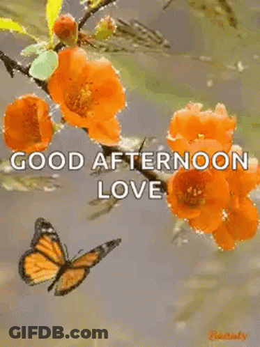 Good Afternoon Sparkles GIF
