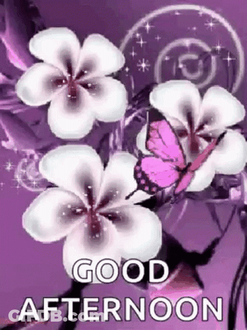 Good Afternoon Sparkling Flowers Purple Butterfly GIF