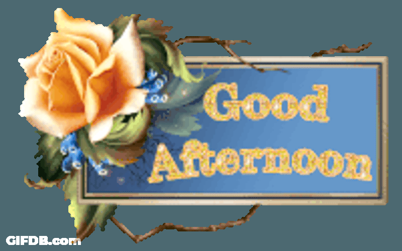 Good Afternoon Sticker GIF