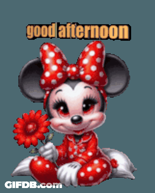 Good Afternoon Sticker GIF