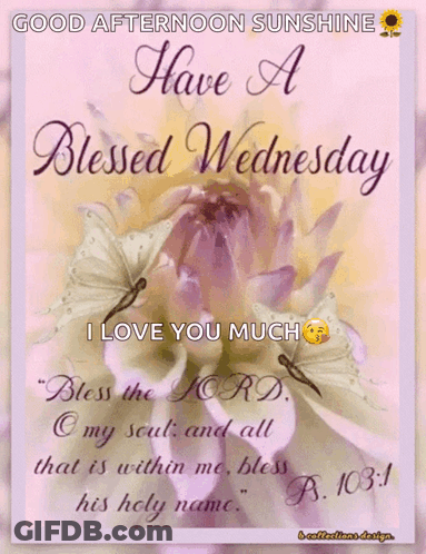 Good Afternoon Sunshine Blessed Wednesday Greeting Card GIF