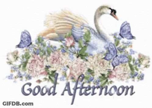 Good Afternoon Swan With Flowers And Butterflies GIF