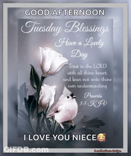 Good Afternoon Tuesday Blessings Have A Lovely Day Poster GIF