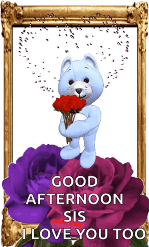Good Afternoon Wednesday Bear GIF