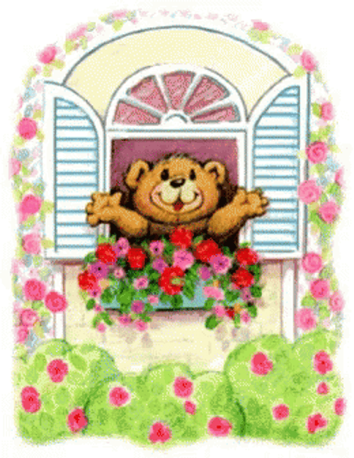 Good Afternoon Wednesday Bear GIF