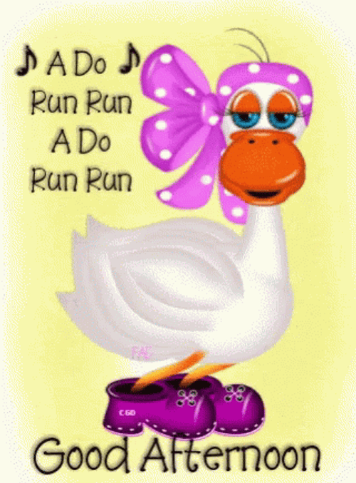 Good Afternoon Wednesday Happy Duck GIF