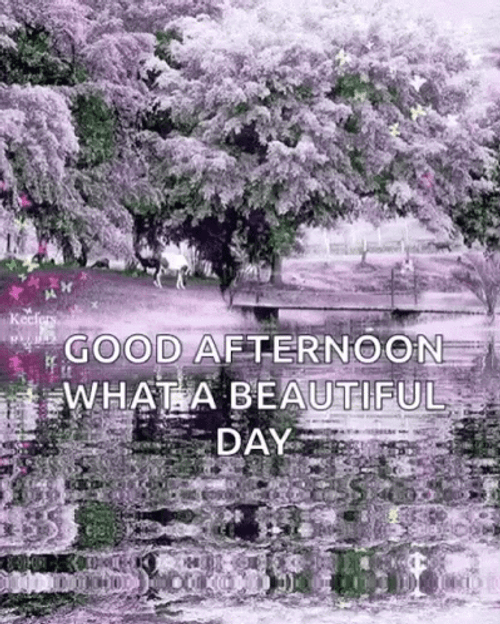 Good Afternoon Wednesday Lake GIF