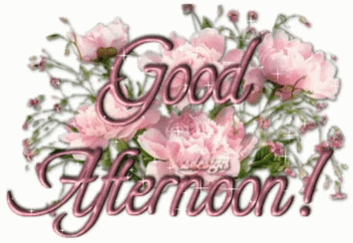Good Afternoon Wednesday Sparkling GIF