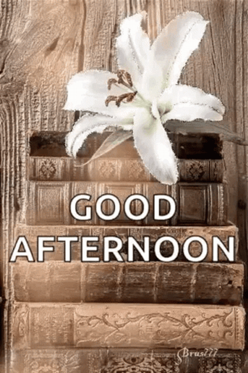 Good Afternoon Wednesday White Flower GIF