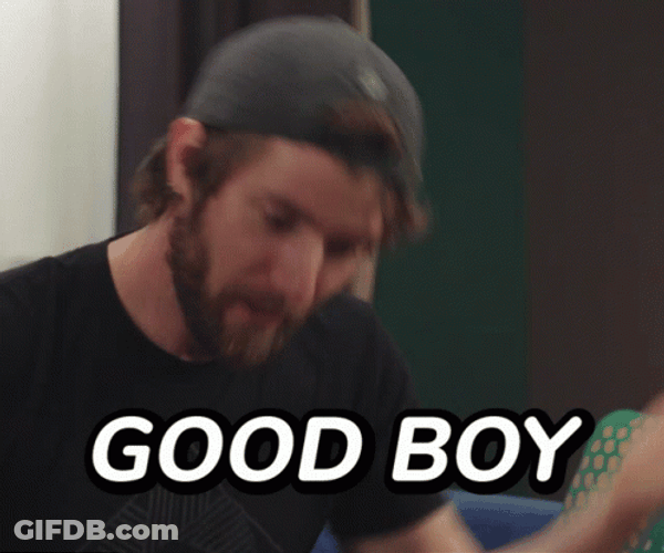 Good Boy Pat Myself On The Back GIF