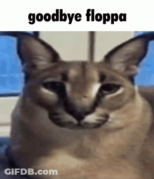 Good Bye Floppa Disappear Meme GIF