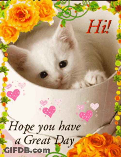 Good Day Cat Flowers Greeting GIF