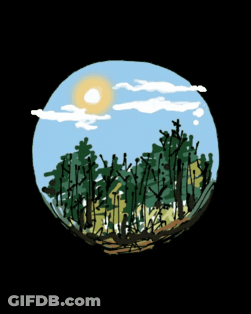 Good Day Forest Warm Wishes GIF