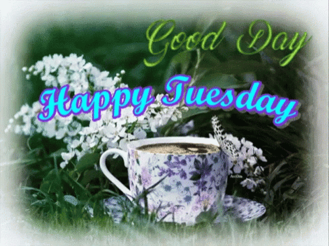 Good Day Have A Blessed Tuesday GIF