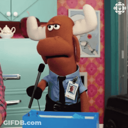 Good Day Mr. Orlando Moose GIF