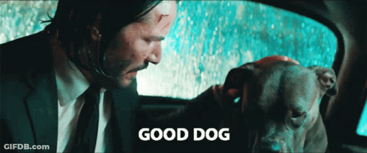 Good Dog Keanu Reeves John Wick GIF