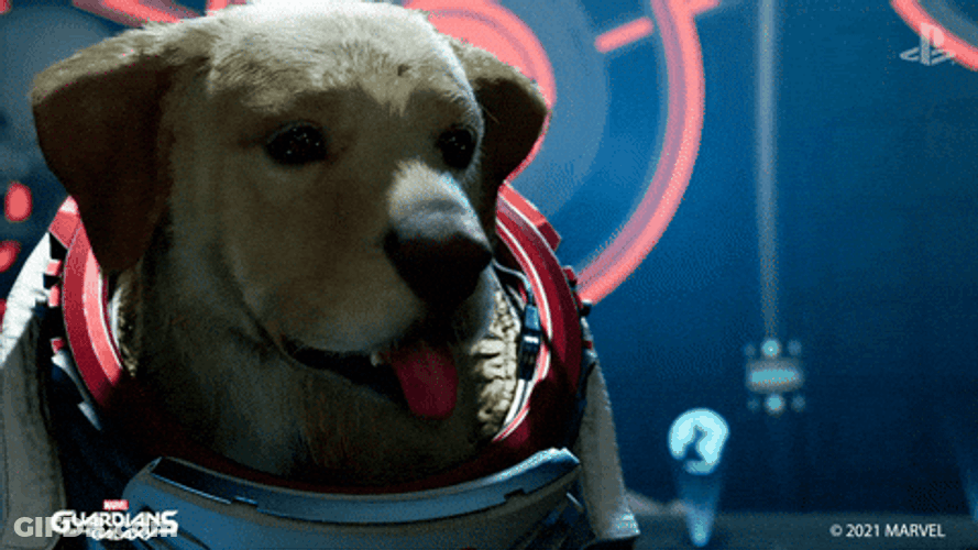 Good Dog Panting Space Suit GIF
