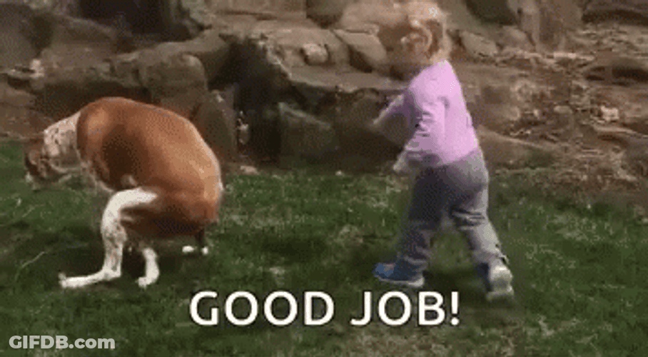 Good Dog Pooping Kid Tapping Good Job GIF