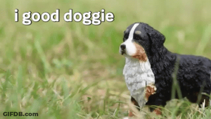 Good Dog Toy Spinning Stop Motion Animation GIF