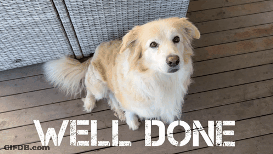 Good Dog Well Done Shake Hands GIF