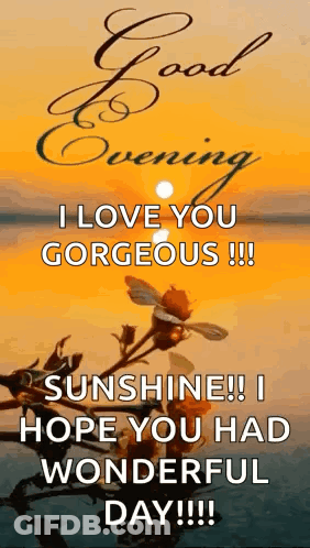 Good Evening Greeting Card With Sunset Over Ocean GIF