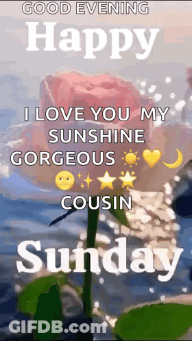Good Evening Happy I Love You My Sunshine Gorgeous Cousin Sunday GIF