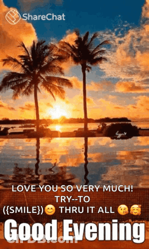 Good Evening Message With Sunset And Palm Trees GIF