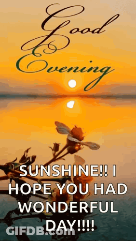 Good Evening Sunshine Have A Wonderful Day GIF